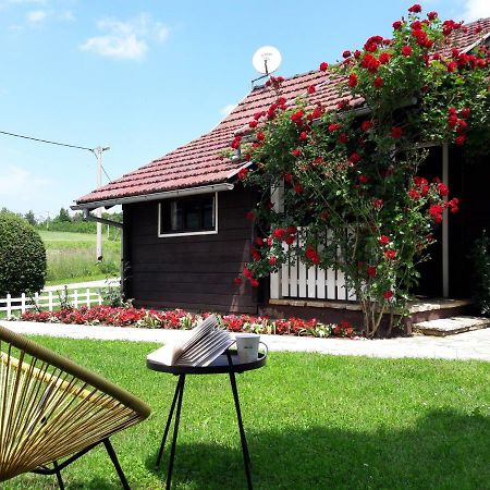 Wooden House Nela Near Plitvice Lakes Smoljanac Exterior foto