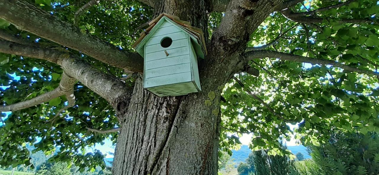 Wooden House Nela Near Plitvice Lakes Smoljanac Exterior foto